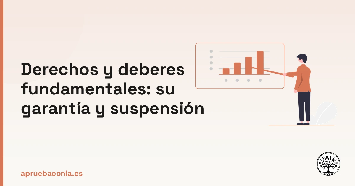 Ilustración de un plan estratégico sobre derechos y deberes fundamentales, su garantía y suspensión.