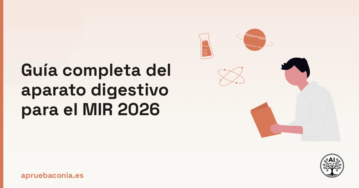 Ilustración de estudiante analizando el sistema digestivo para la guía completa del MIR 2026.