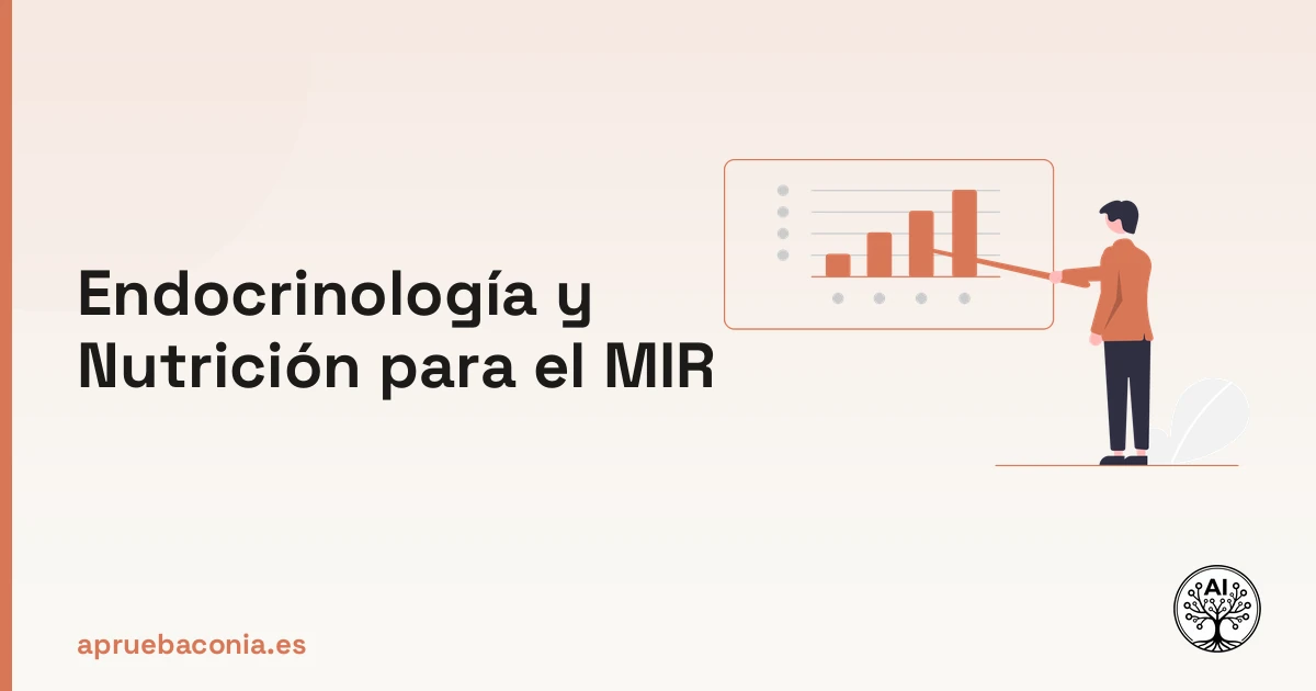 Ilustración de un plan estratégico para dominar endocrinología, metabolismo y nutrición en el examen MIR.