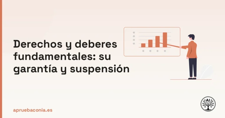 Ilustración de un plan estratégico sobre derechos y deberes fundamentales, su garantía y suspensión.