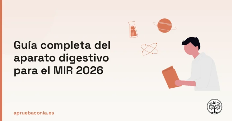 Ilustración de estudiante analizando el sistema digestivo para la guía completa del MIR 2026.
