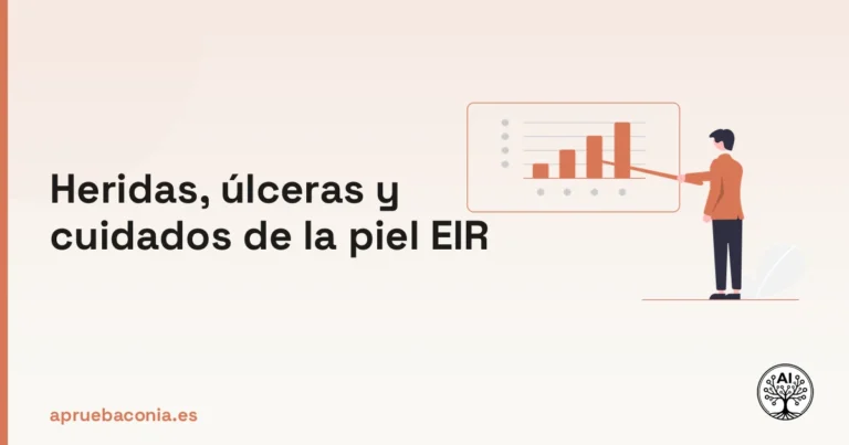 Ilustración de una enfermera organizando el estudio sobre heridas, úlceras y cuidados de la piel EIR.